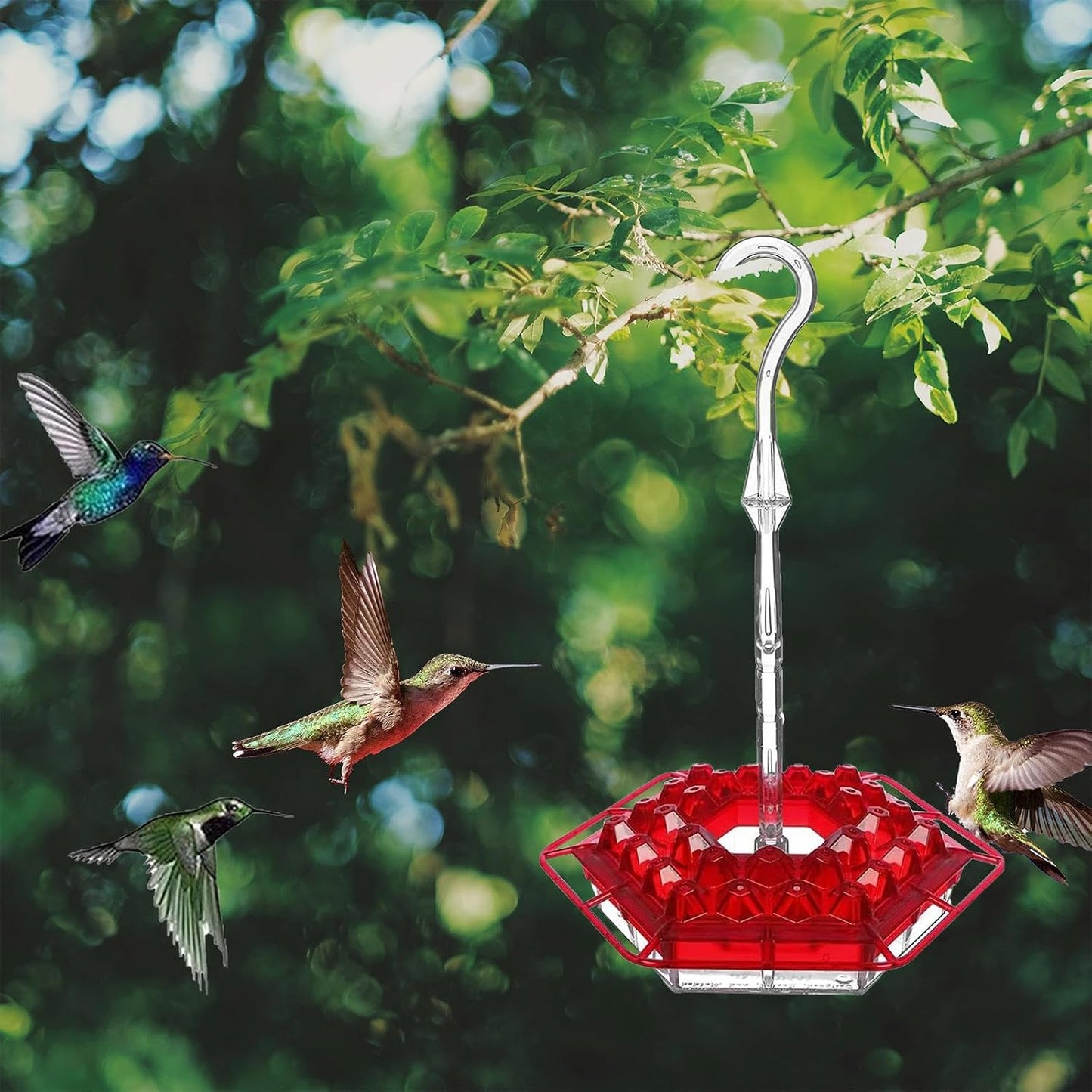 Comedores para Colibrí