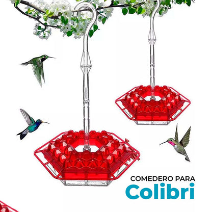 Comedores para Colibrí
