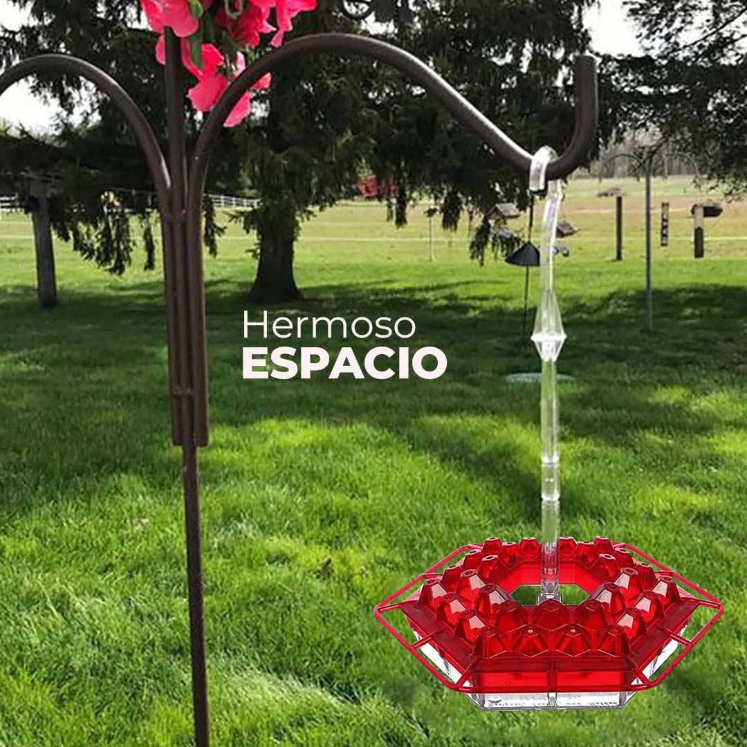 Comedores para Colibrí